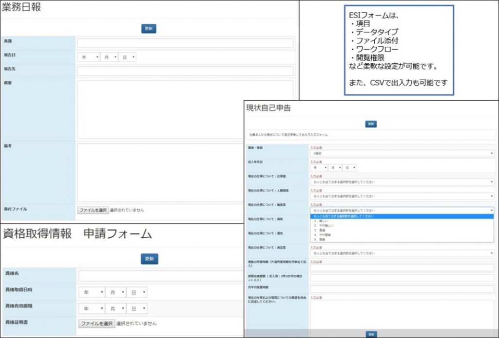 【どんなデータでも管理可能なスキルナビフォーム】